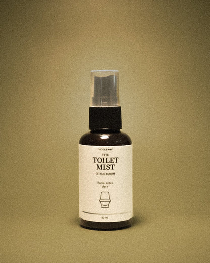 THE CLEANY TRAVEL KIT