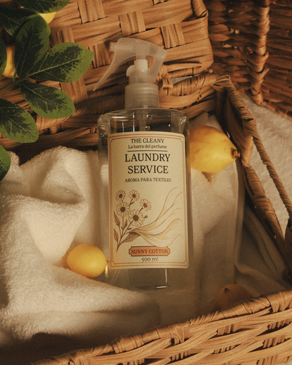 LAUNDRY SERVICE (AROMA PARA TEXTILES)
