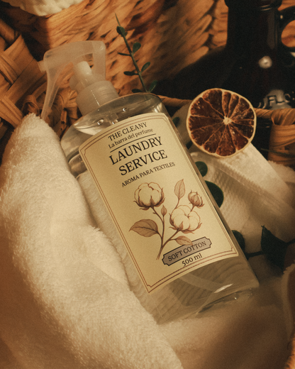 LAUNDRY SERVICE (AROMA PARA TEXTILES)