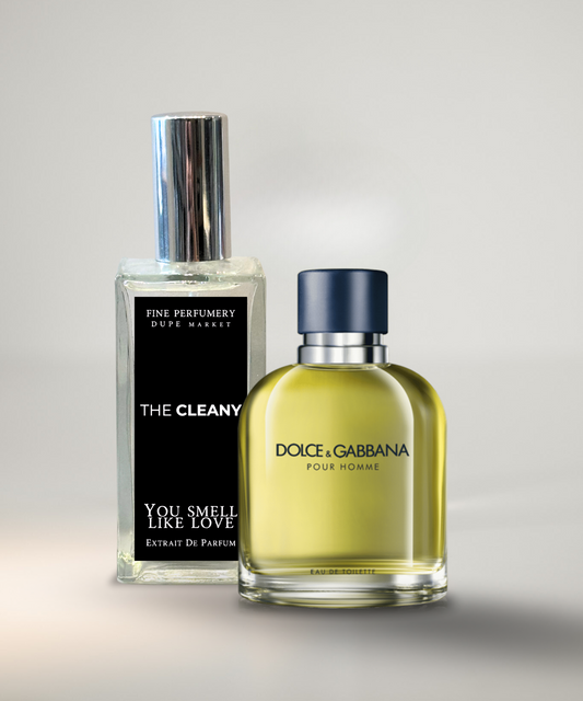 #216 | Pour Homme - Dolce & Gabbana